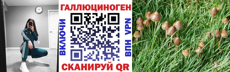 Галлюциногенные грибы ЛСД Бутурлиновка