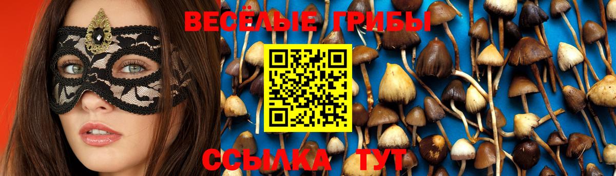 Псилоцибиновые грибы мухоморы  Вход с VPN  Бутурлиновка 